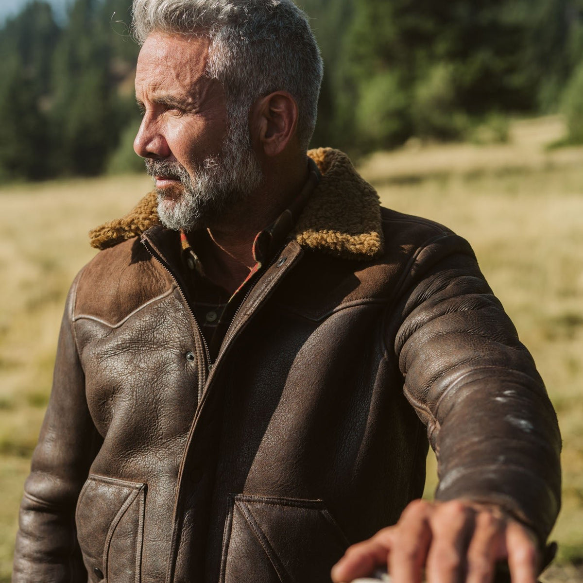 Jackson Shearling Leather Jacket | Brown