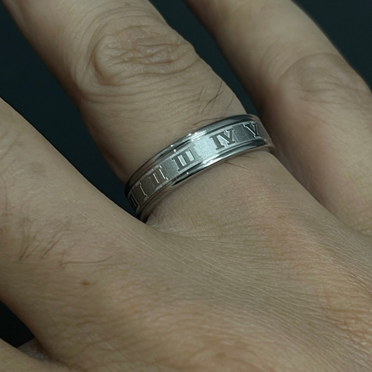Slver Titanium Roman Ring