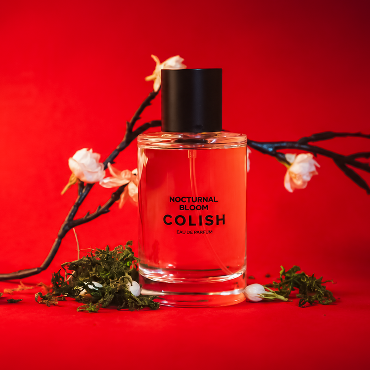 NOCTURNAL BLOOM EDP 100ML
