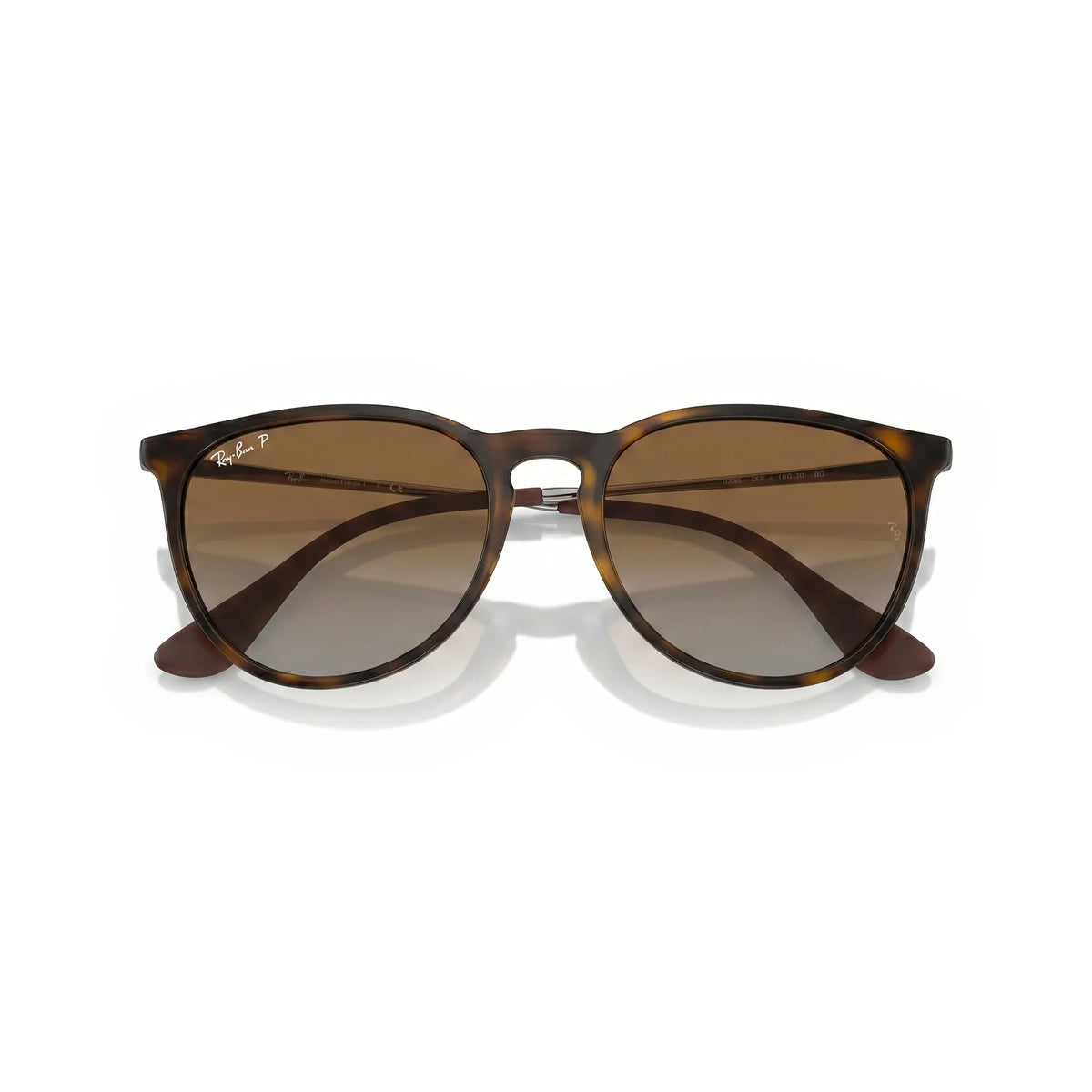 Wren Sunglasses