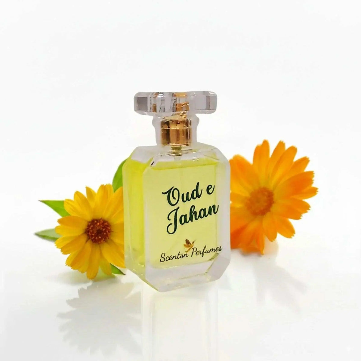 Oud e Jahan: The World in a Scent