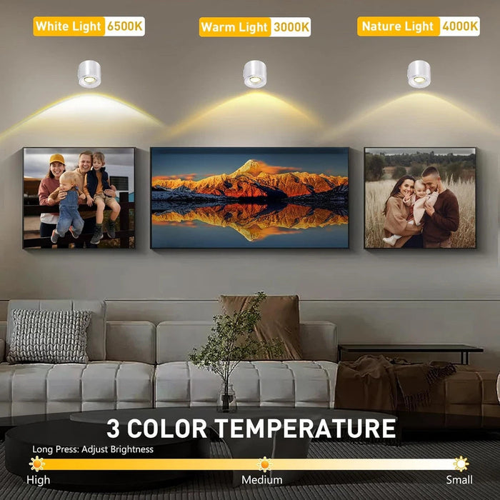 Rechargeable LED Wall Lights – 3 Color Dimmable Picture & Artwork Lamp (1-PC)