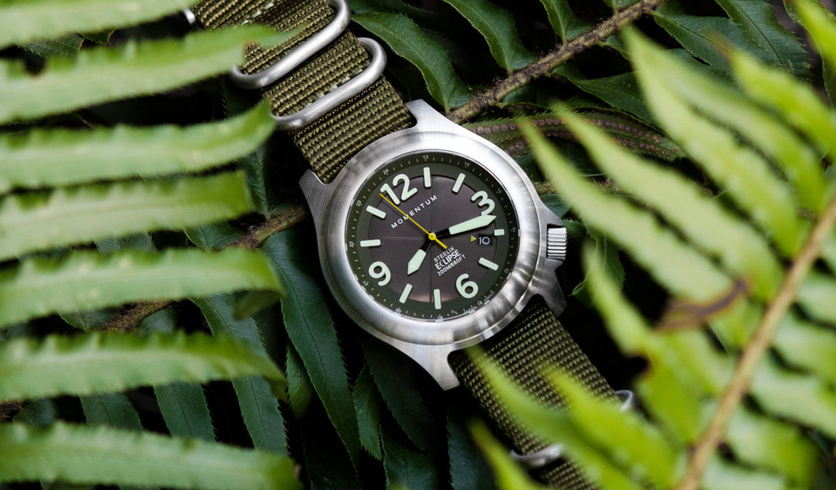 Steelix Eclipse - Solar [44mm] - Green